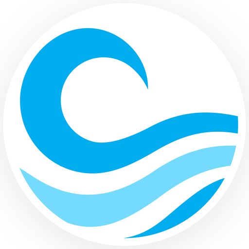 Big Wave logo